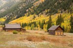 ghost town, Ashcroft, Colorado, Aspen, fall color, fall, tre